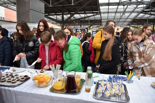 Pályaválasztási roadshow Szekszárd
